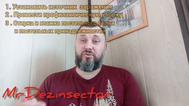 Как бороться с клопами самостоятельно(совет дезинфектора) смотреть онлайн