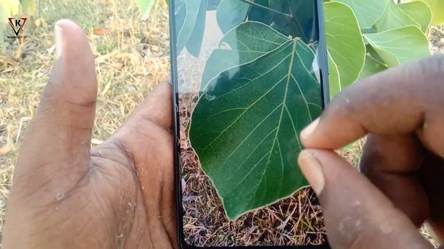 How To Best Camera Setting - Oppo reno 2f Mobile ke best Camera Setting kise kare смотреть онлайн
