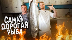 Костян достал ДОРОГУЩУЮ рыбу! Дегустация КОБИИ.