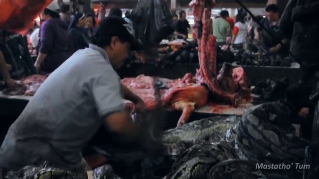 Creepy! Buy and Sell Python Snake Meat in One of Traditional Markets смотреть онлайн