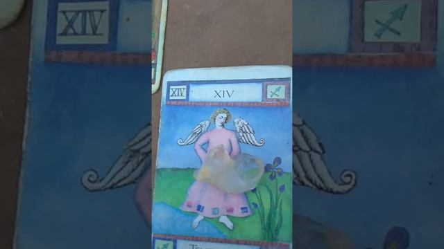Dreamtree, Tarot Reading for Tarot Tuesday смотреть онлайн