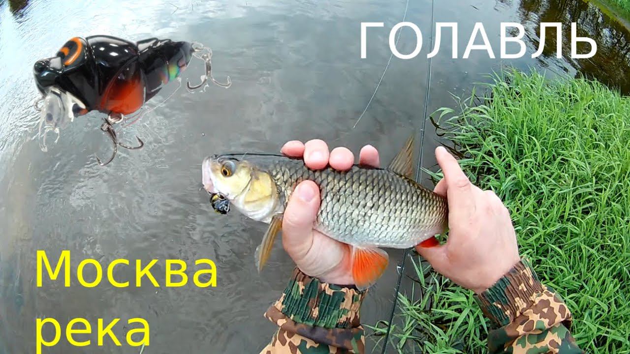 Голавль на спиннинг. Москва река. Воблер D-3 Custom Fukuzemi зарешал. смотреть онлайн