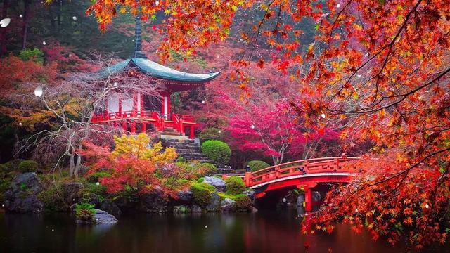 Божественная музыка трогает сердце! Хочу слушать вечно! Отличная музыка Сергей Грищук #45 смотреть онлайн