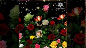 ПОЛЬ МОРИА  ЭЛЬ БИМБО