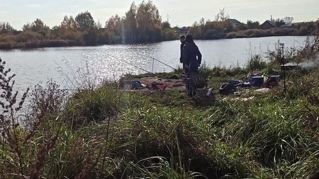 #осень #карась Осенний карась . На рыбалку всем семейством. смотреть онлайн