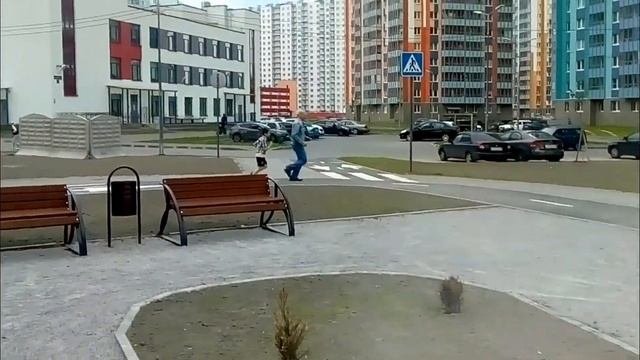 Прием нормативов ГТО в "Новой Охте" смотреть онлайн