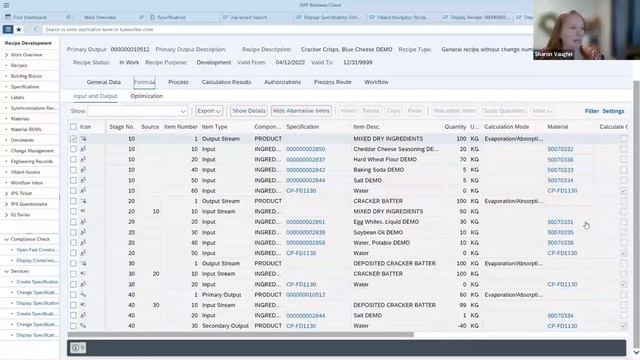 Easy to Use SAP Recipe Development: Creating Recipes and Object Sets смотреть онлайн