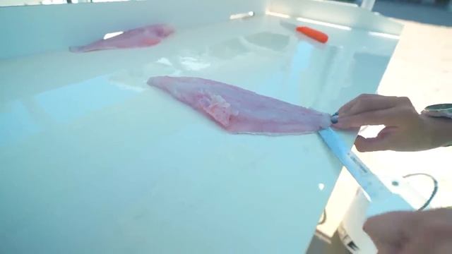 I Found PARASITES in My Fish | 2 Night Fishing Trip Goes Home Early смотреть онлайн