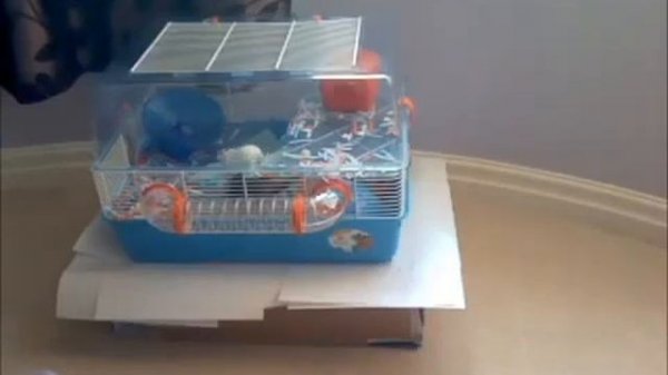 Клетка для хомяков Ferplast DUNA FUN Для Грызунов