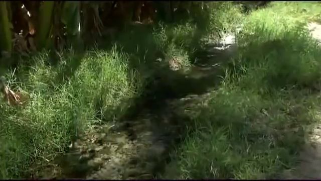 The Indus Valley Civilization: The Masters of the River смотреть онлайн