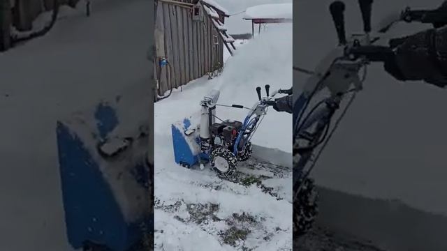 проба ксм24d смотреть онлайн