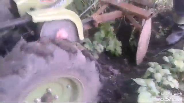 #27.Окучивание картофеля 2020 (ЗУБР JR-Q79 и ДИСКИ) смотреть онлайн