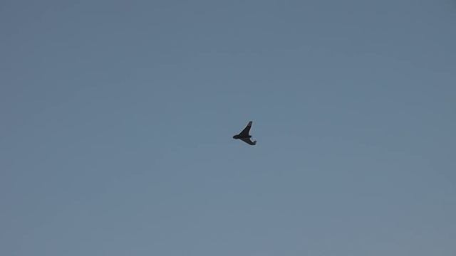 SkyWalker Black X8 Giant Flying Wing Maiden Flight смотреть онлайн