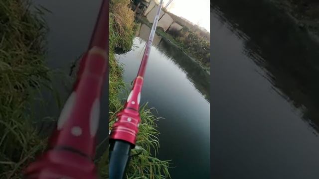 Клязьма рыбаки неудачники!!! 07.11.2020 смотреть онлайн