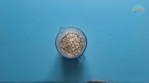 Высокопротеиновая ПП панакота из овсянки и протеина | спортпит – PavlovKitchen