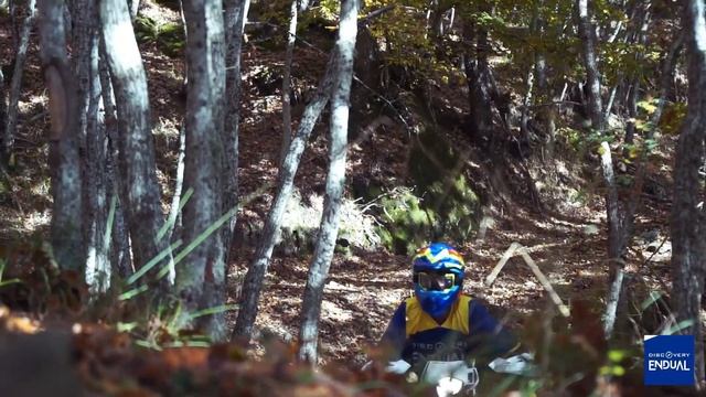 Rieju MR 300 Racing смотреть онлайн