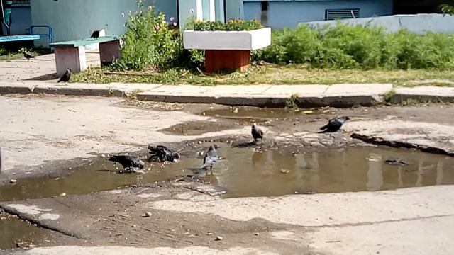 Чистота залог здоровья смотреть онлайн