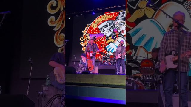 Los Lobos - Little Walter tune -3-10-24 w/ Greg Spradlin смотреть онлайн