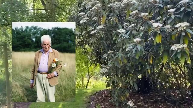 Сады Fullers Mill в Англии.