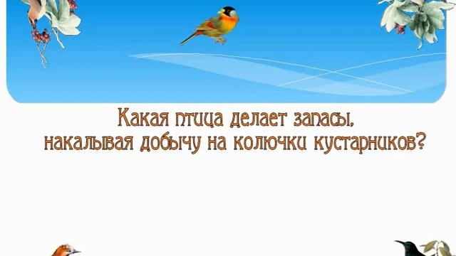Онлайн-игра-викторина «Встречай любовью стаи птиц» смотреть онлайн