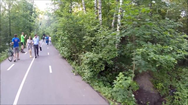Лоси в Сокольниках. смотреть онлайн