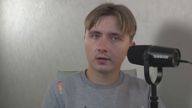 ШТРИХИ К ПОРТРЕТУ "НАРОДНОГО СОЦИАЛИЗМА". | Критический анализ платформы НСДР. смотреть онлайн