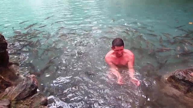 купание с Пираньями смотреть онлайн