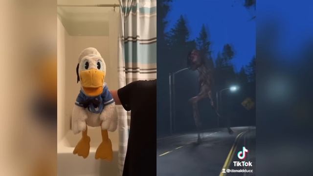 Donald Ducc REACTS To Some Skibidi Toilet TikToks! смотреть онлайн