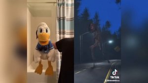 Donald Ducc REACTS To Some Skibidi Toilet TikToks!