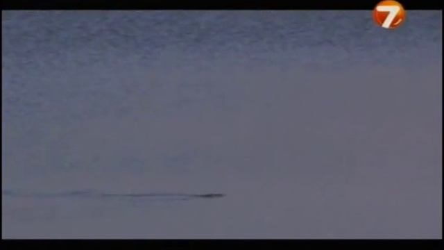 Хищник поздней осенью смотреть онлайн