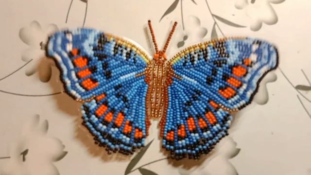 Бабочка "Прецис Октавия" смотреть онлайн