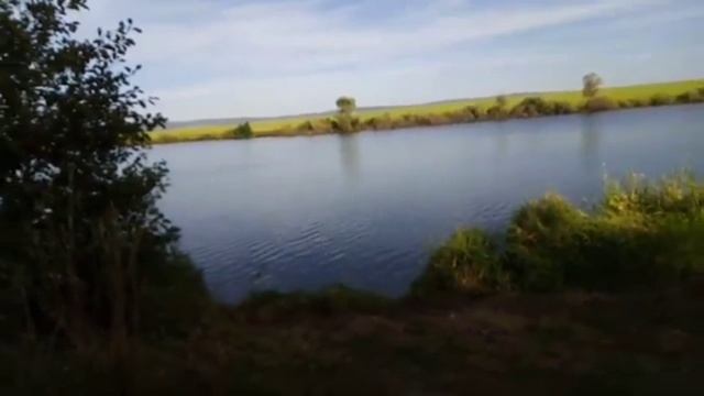 Сентябрьский улов. Карп.mp4 смотреть онлайн