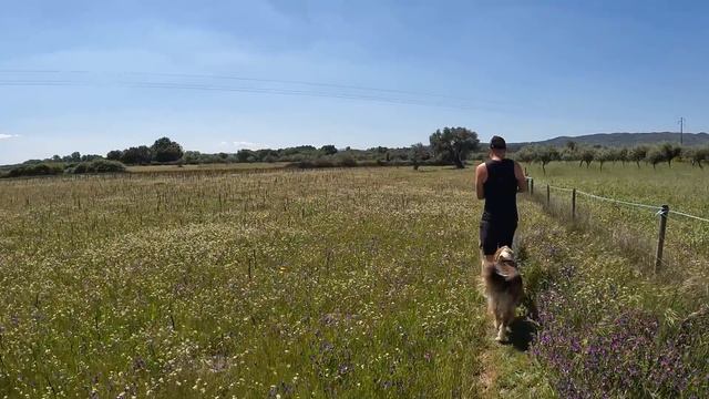A beautiful FARM in Portugal | PORTUGAL FARM LIFE S4-E14 ? смотреть онлайн
