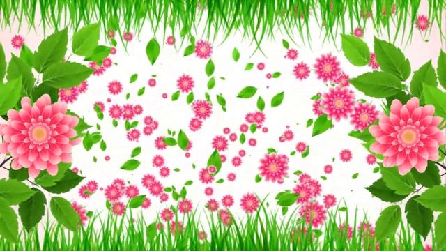Фон Розовые цветы и зелень. Красивый футаж для монтажа. смотреть онлайн