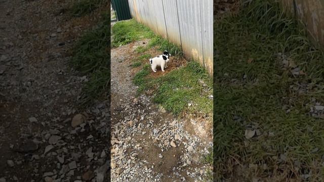 25 сентября 2023 г. смотреть онлайн