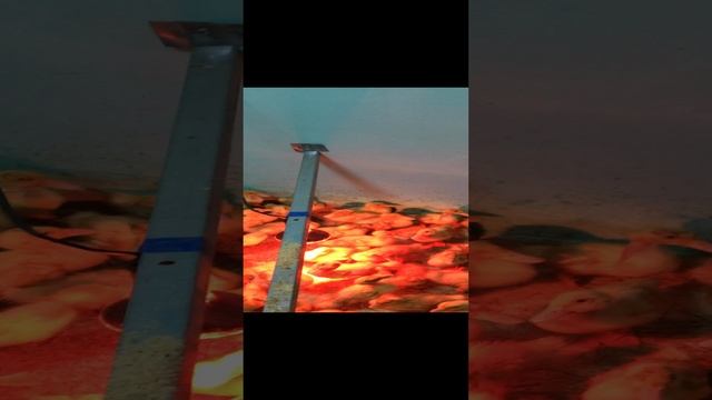 31-03-2023 смотреть онлайн