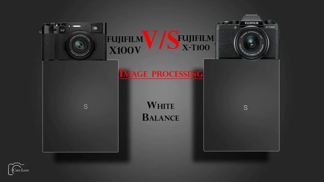 FUJIFILM X100V Vs Fujifilm X T100