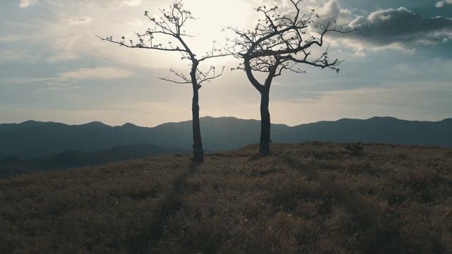 GUANACASTE PLACES, CINEMATIC VIDEO 4K - HUBSAN ACE PRO & MAVIC AIR 2 #Hubsan #Mavic смотреть онлайн
