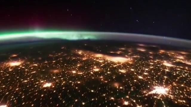 The Worm Show / Trailer смотреть онлайн
