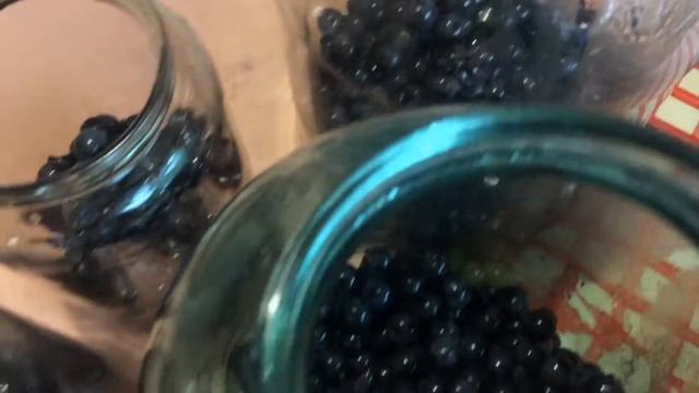 Виноградный Компот На Зиму ~ Вкуснее Сока смотреть онлайн