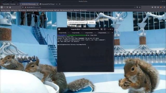 Chocolate Factory Walkthrough | TryHackMe смотреть онлайн