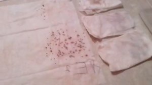 Стратификация клубники