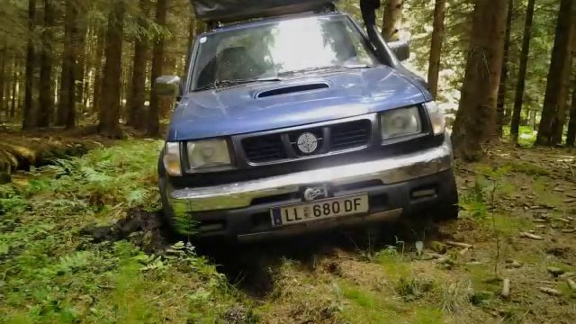 Navara D22