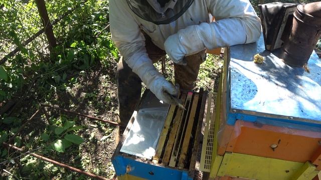 Ротация семьи воспитательницы с изолятором смотреть онлайн
