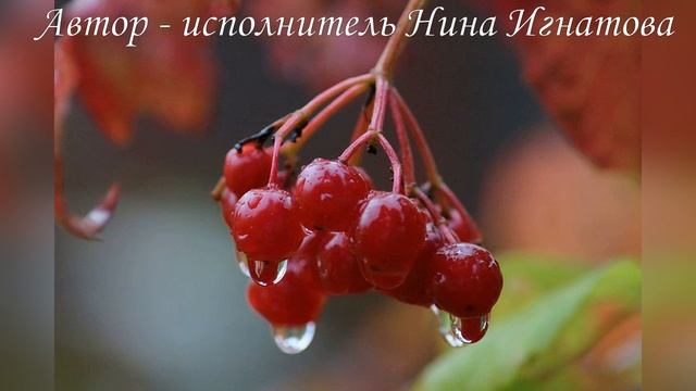 "Калина "- Авторская песня - сайт : поэтесса Нина Игнатова.рф смотреть онлайн