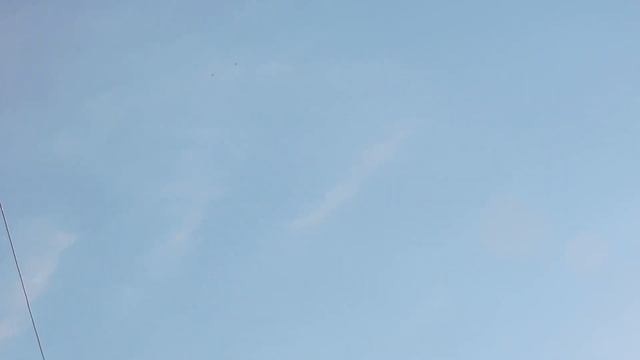 Утренний полет николаевских голубей Брянской области. смотреть онлайн