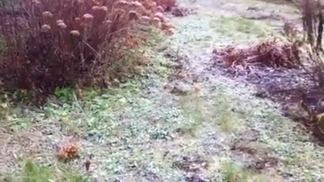 Фундамент 1 смотреть онлайн
