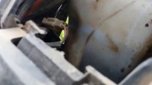 Обзор скутера STELS VORTEX 50