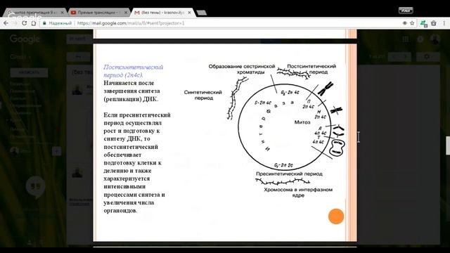 Биология 10 класс 21-22 неделя Деление клеток. Митоз смотреть онлайн