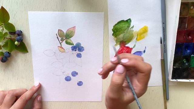 Голубика с листочками на веточке акварелью. Рисование онлайн для начинающих смотреть онлайн
